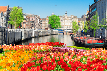 Amszterdam úszó virágpiac története