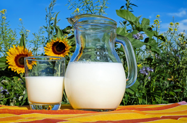 A leggyakrabban elhangzó tévhitek a tejről
