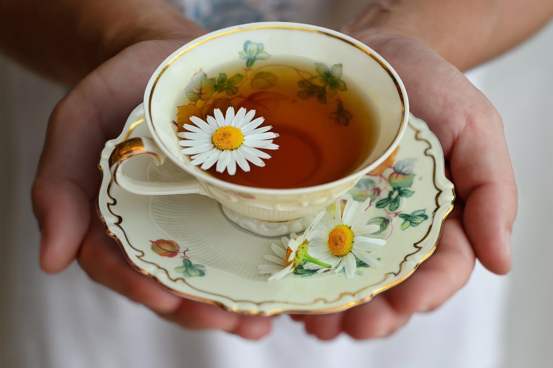 A chai jó a fogyáshoz: A chai teák jót tesznek a fogyásnak? - goprojekt.hu